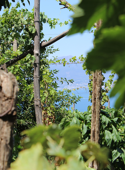 Vista sul Golfo di Napoli