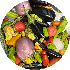 Prodotti del nostro orto