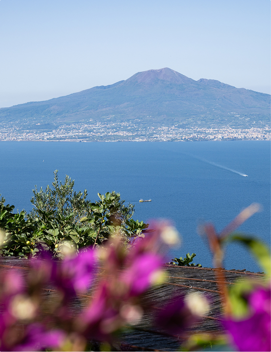 Dettaglio mise en place