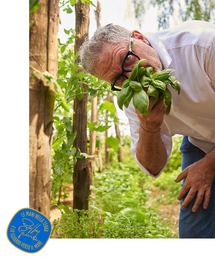 Chef Peppe Guida nell'orto