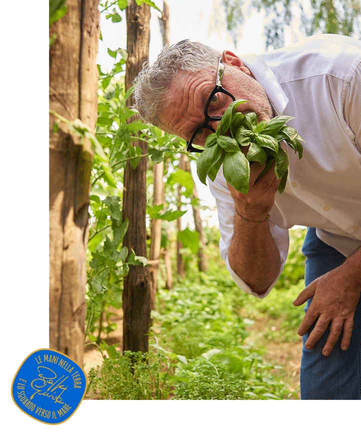 Chef Peppe Guida nell'orto